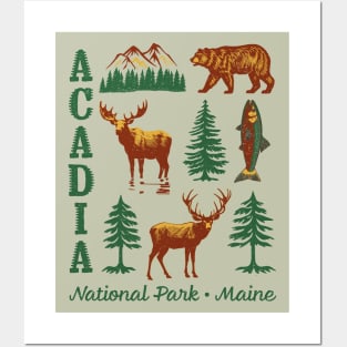 Acadia National Park NP Maine ME USA Vintage Design Souvenir Posters and Art